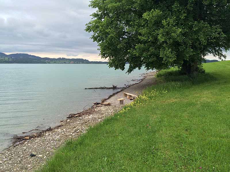 Fkk forggensee